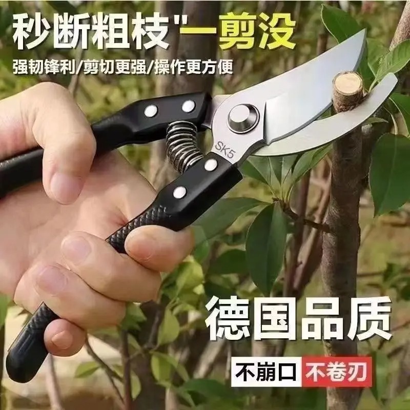 مقص حديدي لتقليم الأشجار والحدائق المنزلية