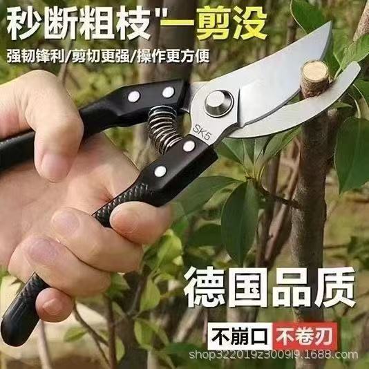 مقص تقليم الأشجار بيد قوية وقص شفرة قوي جدا