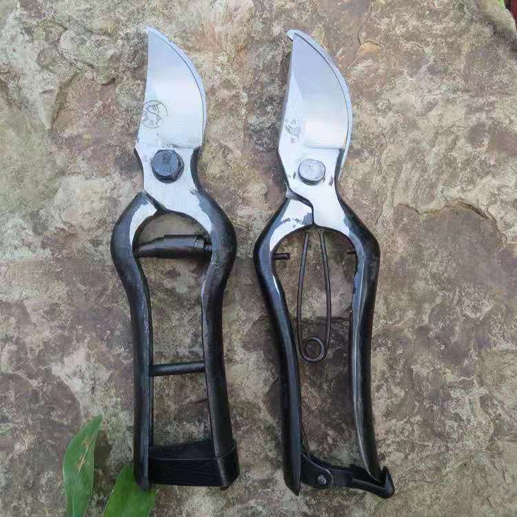 مقص حديدي قديم لقطع الفواكه والزهور