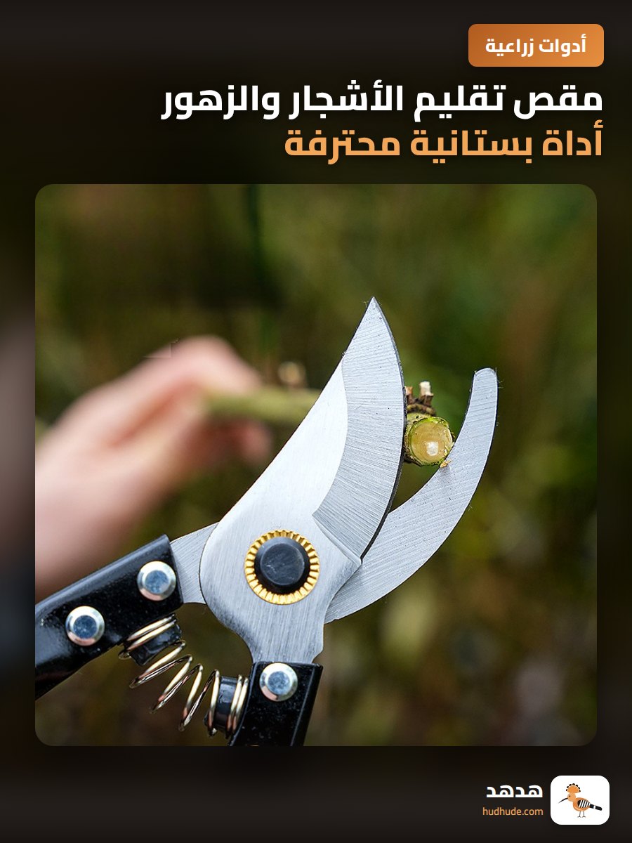 مقص تقليم الأشجار والزهور أداة بستانية محترفة للقص والتشذيب