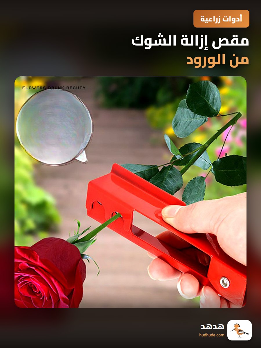 مقص إزالة الشوك من الورود، أداة تشذيب وبرم الورود المحترفة