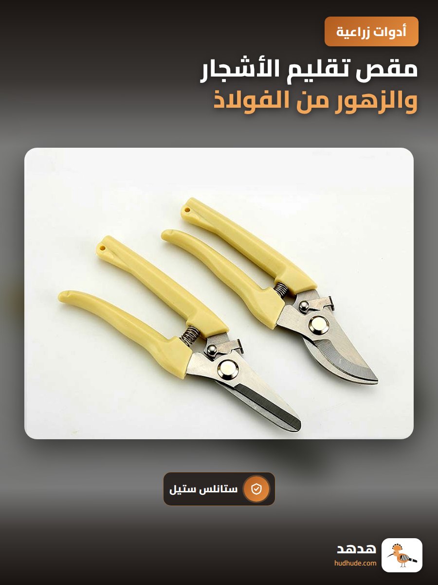 مقص تقليم الأشجار والزهور من الفولاذ المقاوم للصدأ