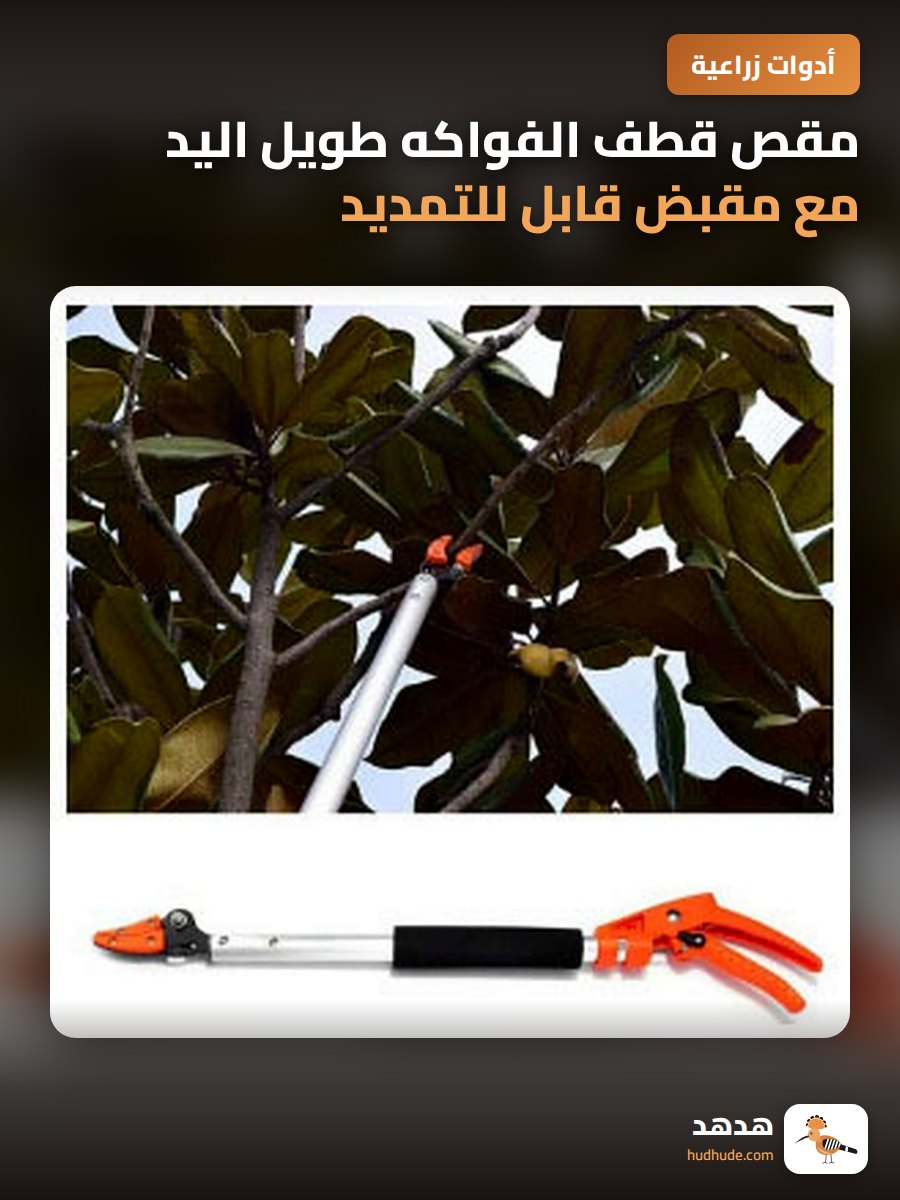 مقص قطف الفواكه طويل اليد مع مقبض قابل للتمديد للحدائق