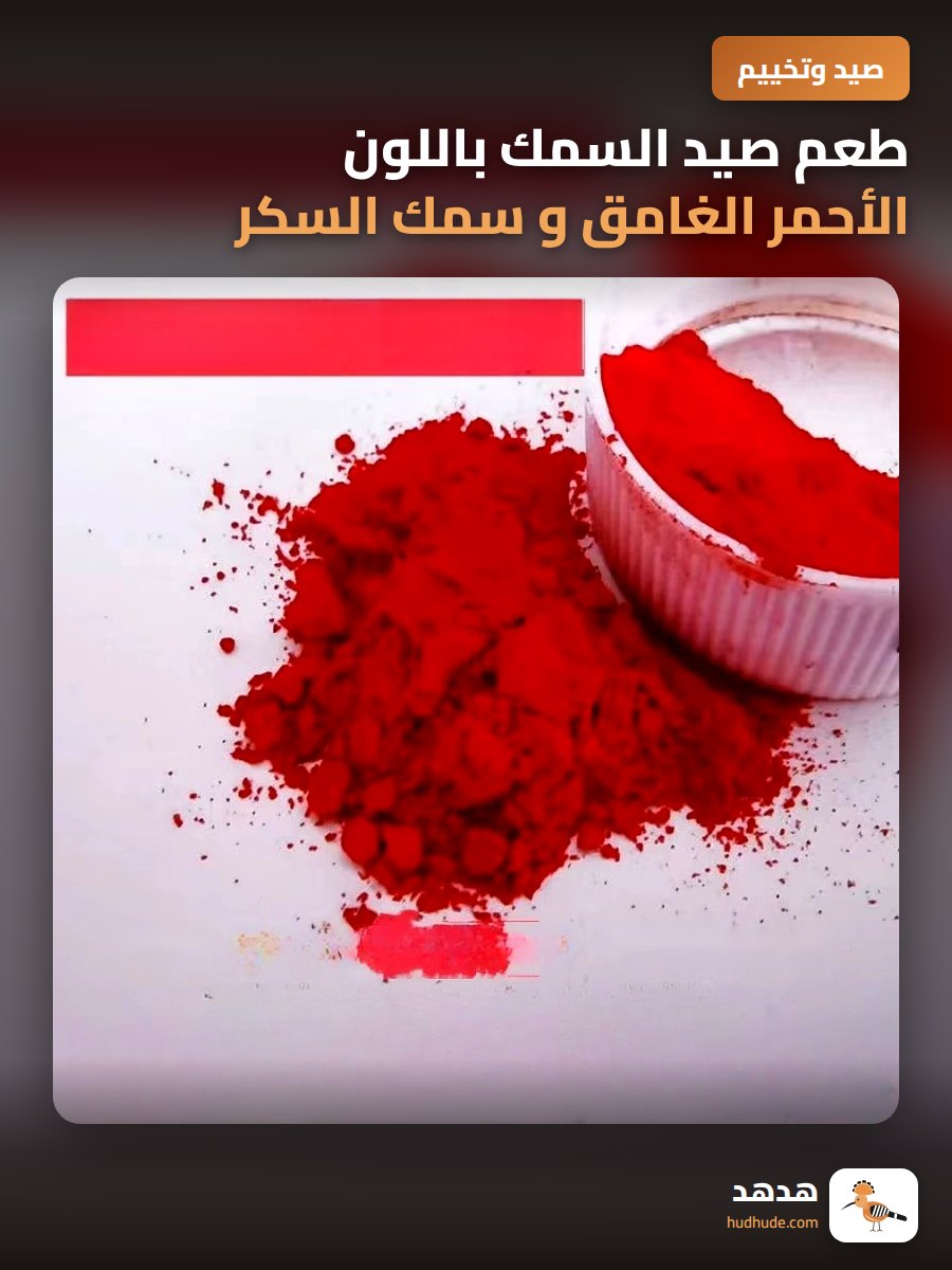 طعم صيد السمك باللون الأحمر الغامق و سمك السكر