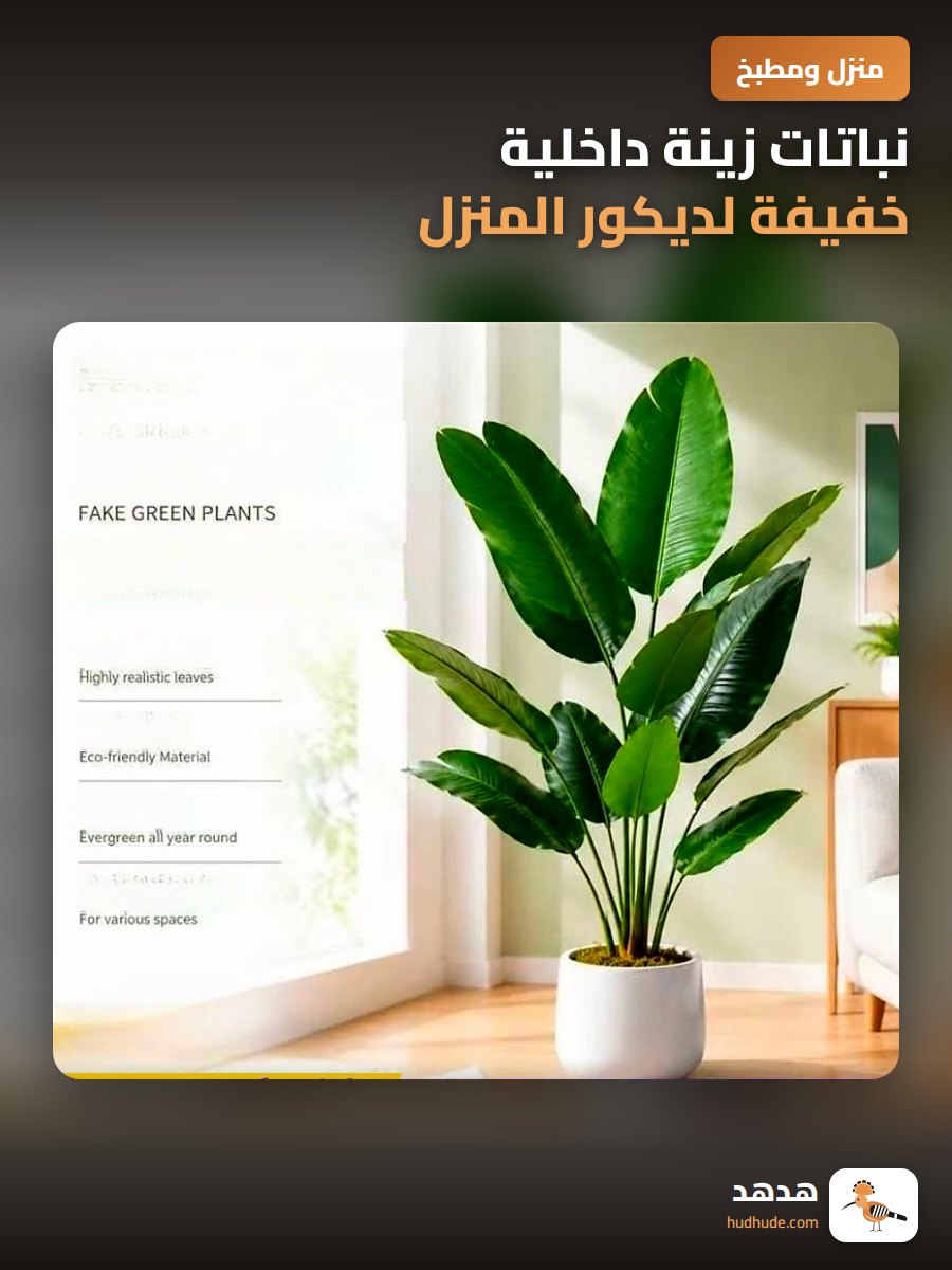 نباتات زينة داخلية خفيفة لديكور المنزل