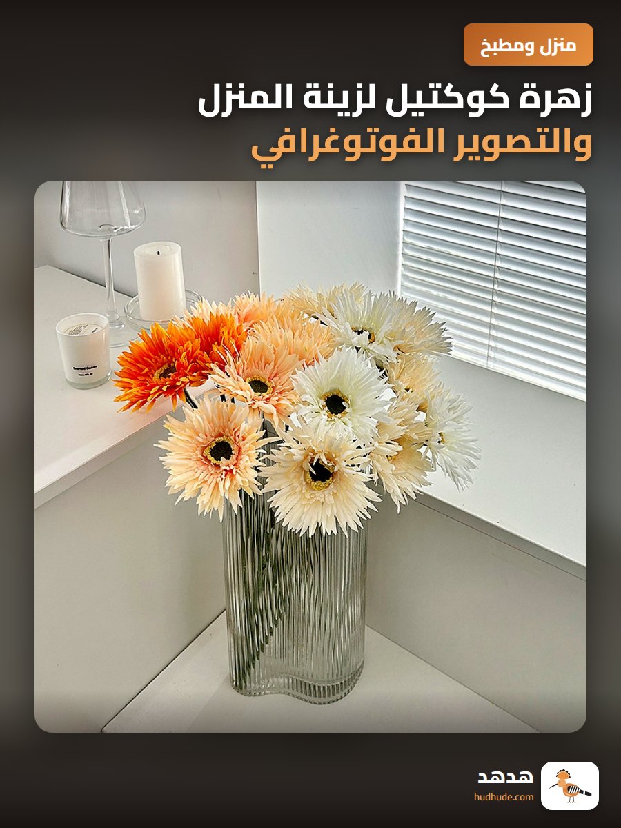 زهرة كوكتيل لزينة المنزل والتصوير الفوتوغرافي
