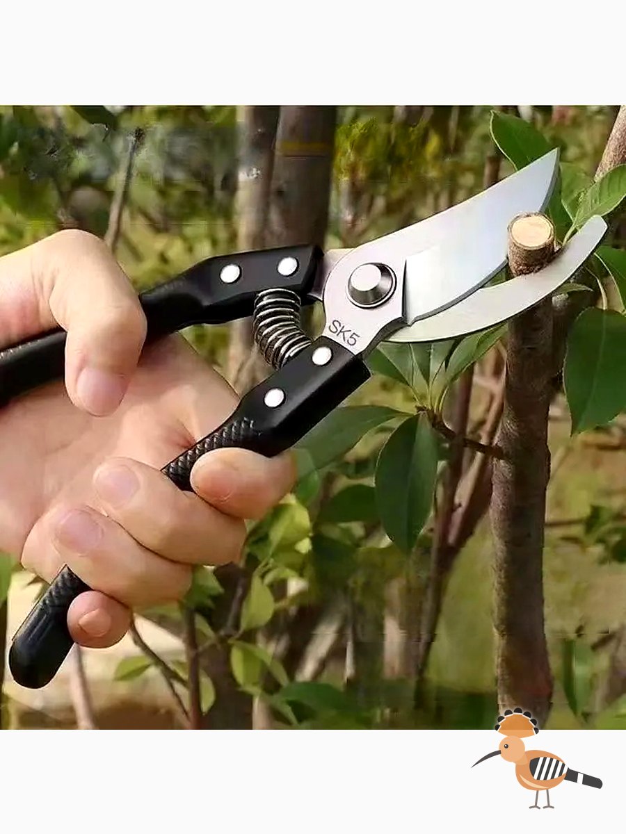 مقص حديدي لتقليم الأشجار والحدائق المنزلية