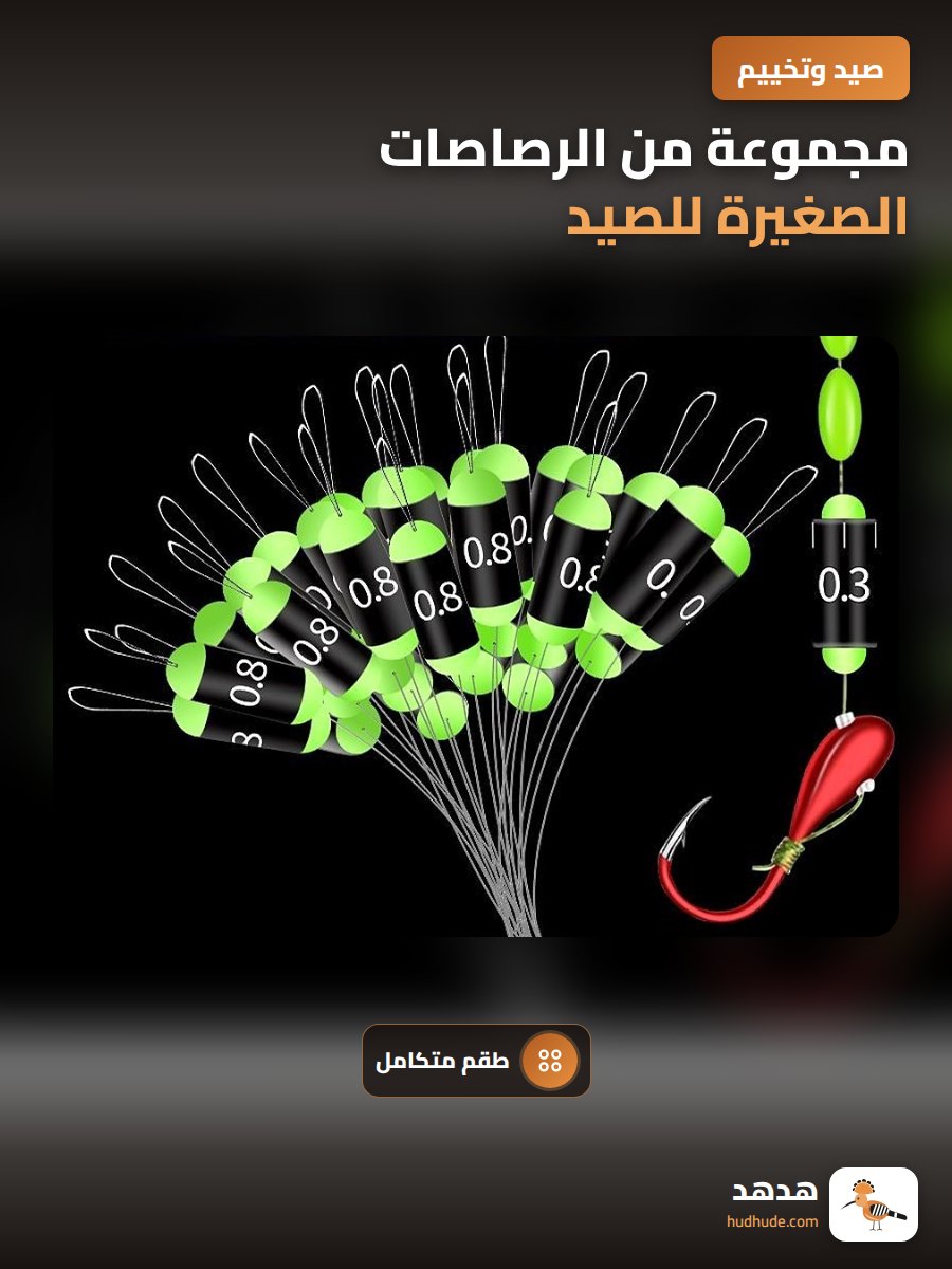 مجموعة من الرصاصات الصغيرة للصيد